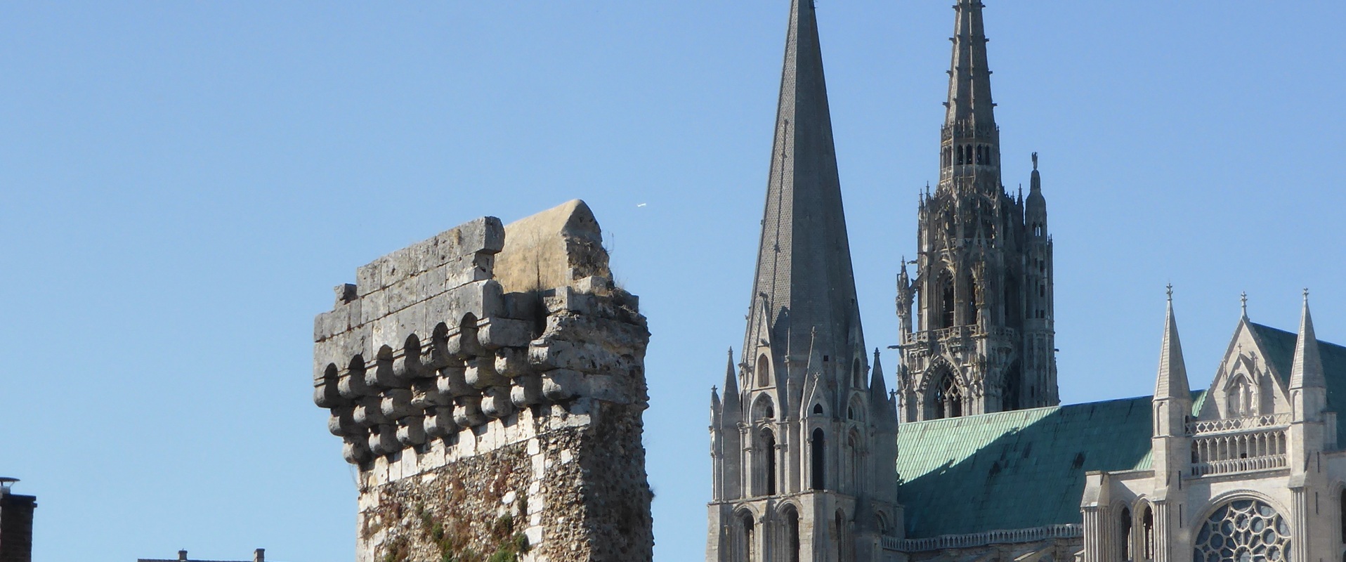 sgel-image-4